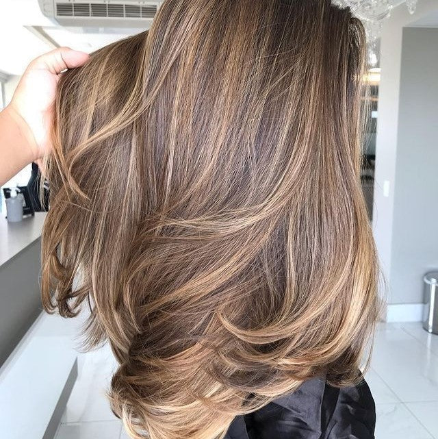 Electric Rotating Hair Dryer