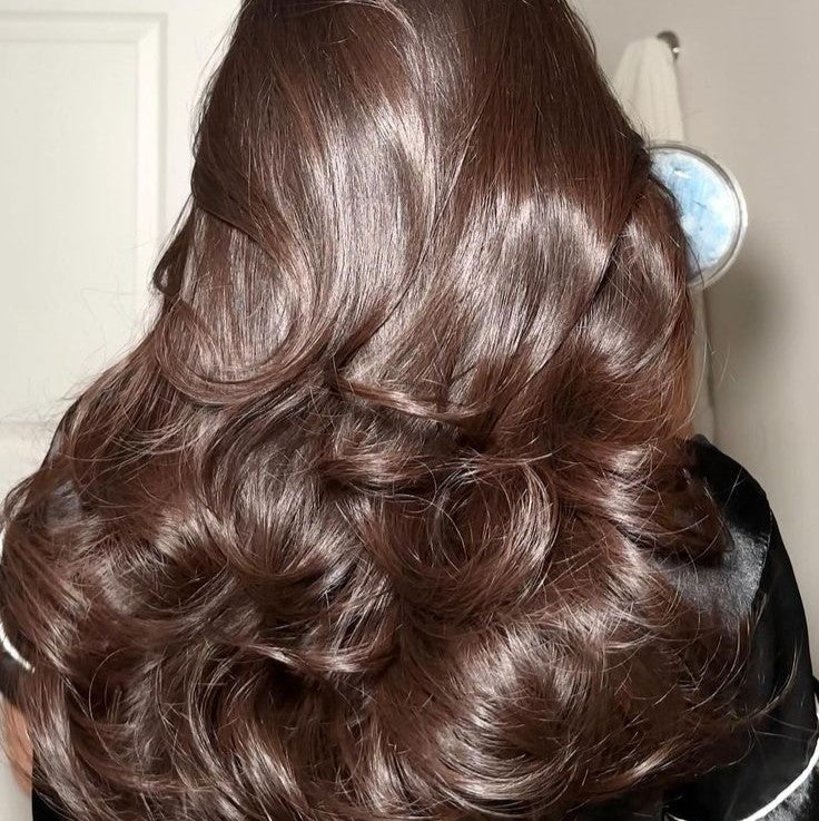 Electric Rotating Hair Dryer