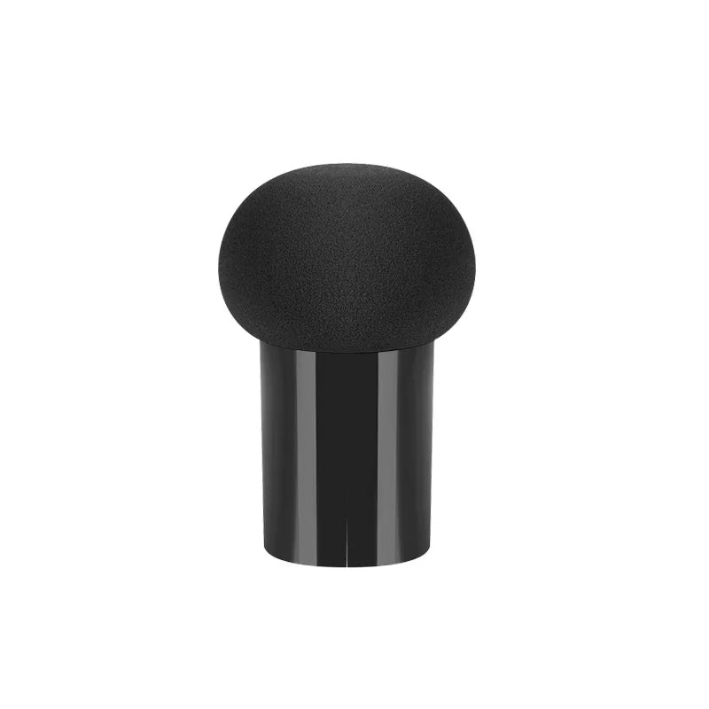 Makeup Sponge Puff