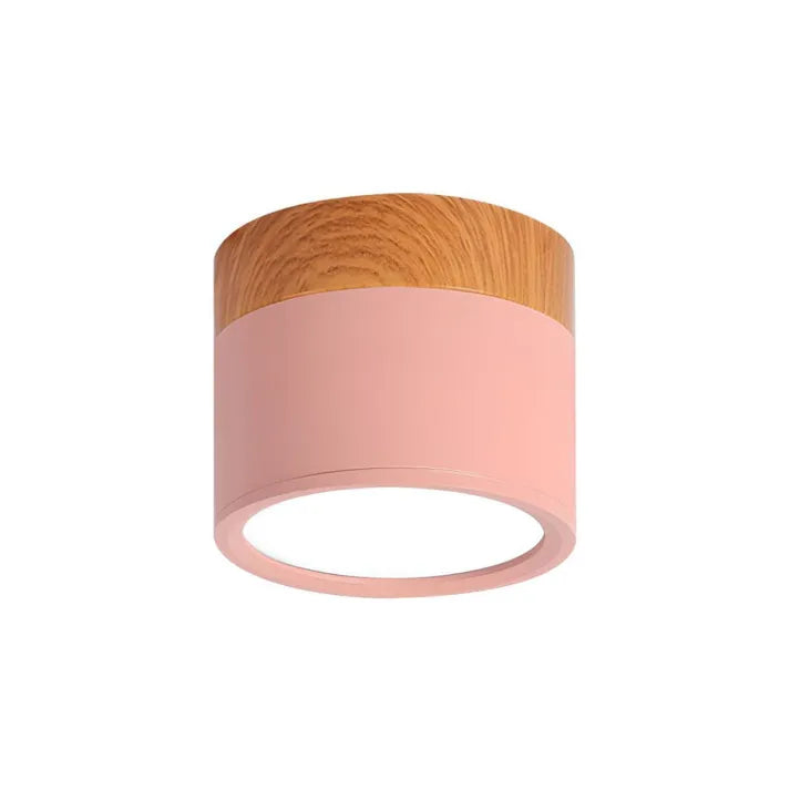 Simple Modern LED Ceiling Lamp