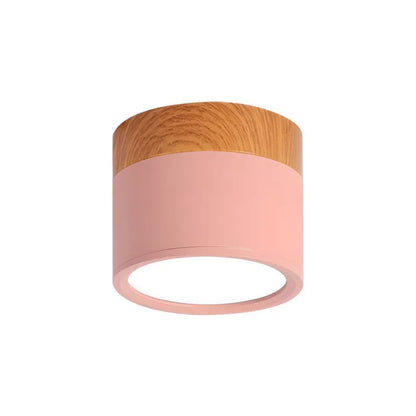 Simple Modern LED Ceiling Lamp
