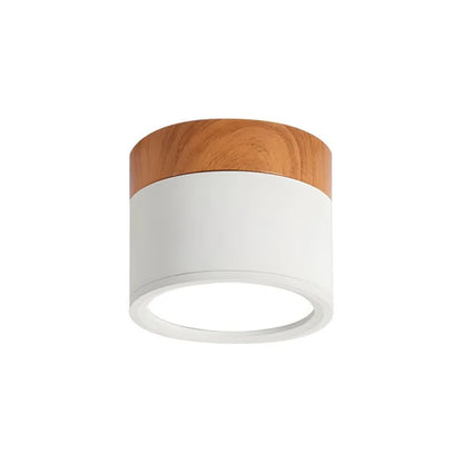 Simple Modern LED Ceiling Lamp