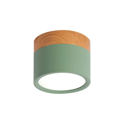 Simple Modern LED Ceiling Lamp