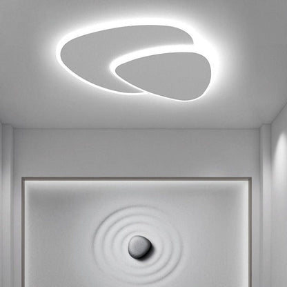 Bright White LED Ceiling Light