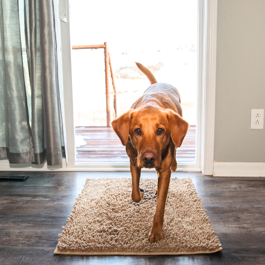 Waterproof Pet Mat, Slip Resistant Easy Clean Dog Mat