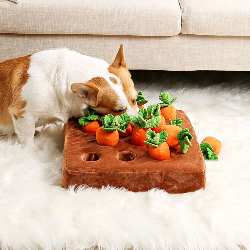 Fun Dog Puzzle Toy Vegetable Patch - Glamry