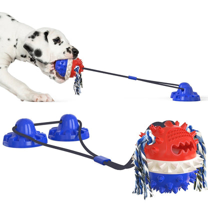Fun Pet Toy with Treat Dispenser and Rolling Balls