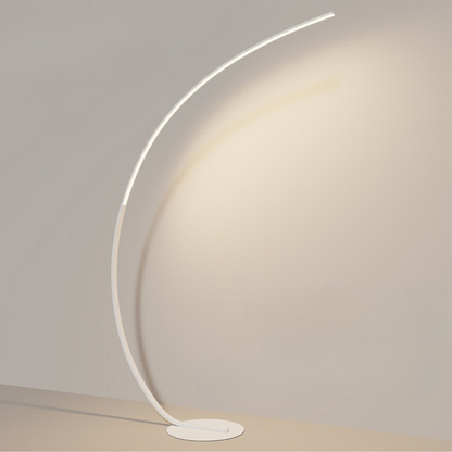 Bright Floor Lamp with Touch Control Switch