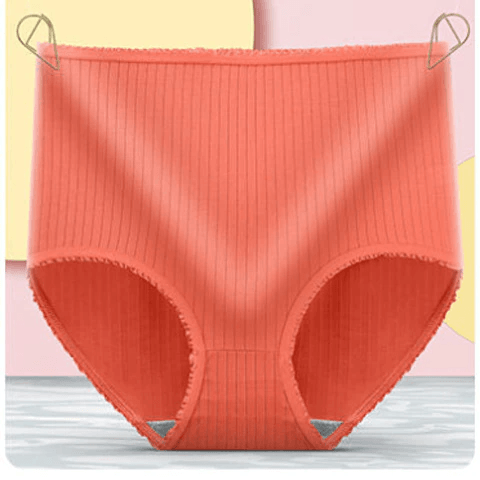 Comfortable Womens Briefs 3 Pack – Soft Absorbent Underwear
