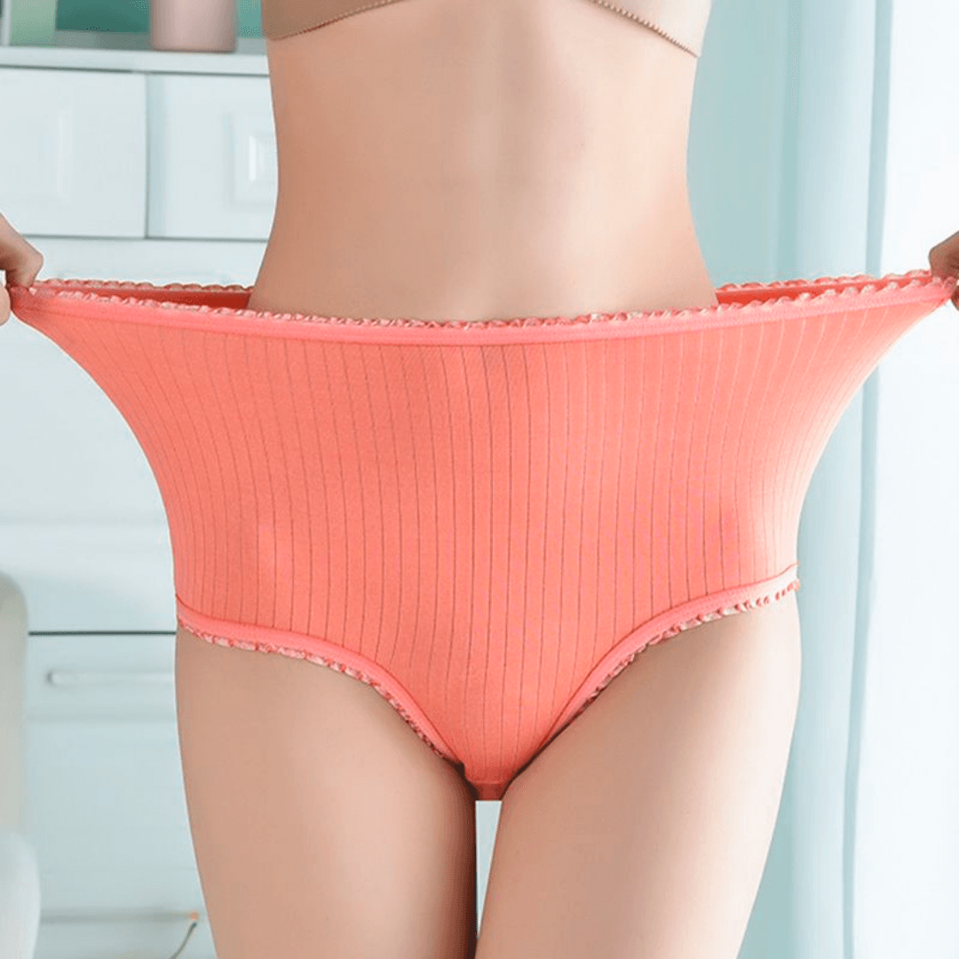 Comfortable Womens Briefs 3 Pack – Soft Absorbent Underwear - Glamry