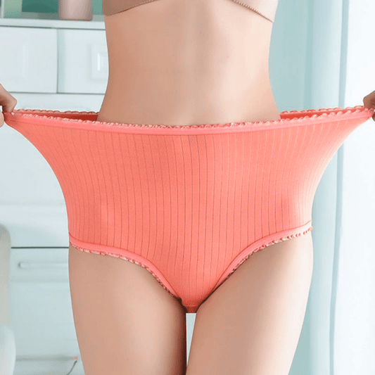 Comfortable Womens Briefs 3 Pack – Soft Absorbent Underwear - Glamry