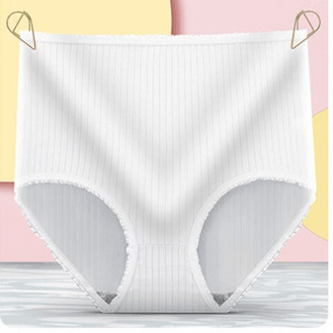Comfortable Womens Briefs 3 Pack – Soft Absorbent Underwear