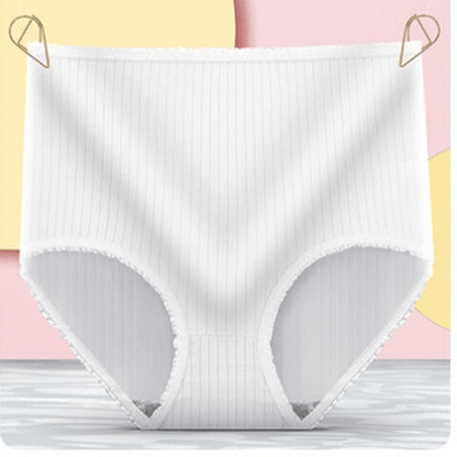 Comfortable Womens Briefs 3 Pack – Soft Absorbent Underwear