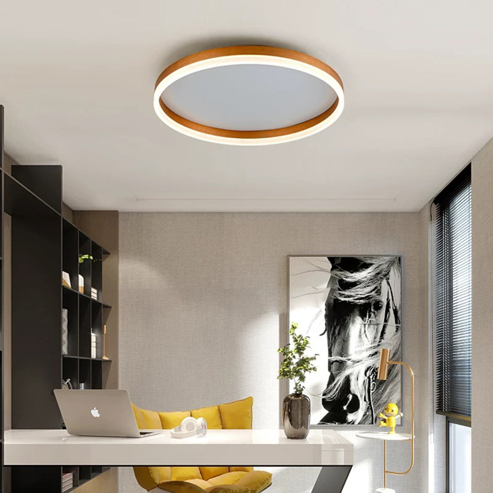 Slim Metal LED Ceiling Light
