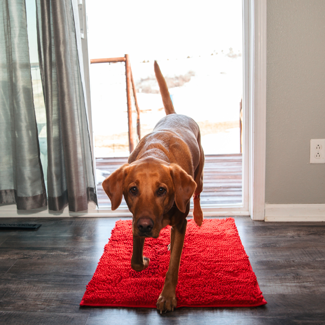 Waterproof Pet Mat, Slip Resistant Easy Clean Dog Mat