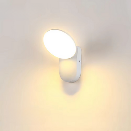 Motion Activated Security Light
