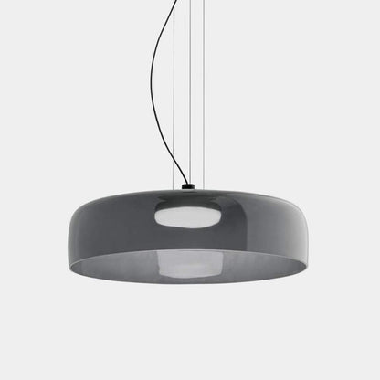 Frosted Glass Hanging Light Fixture