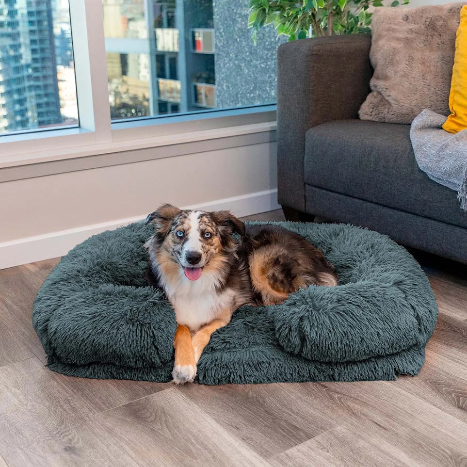 Supportive Foam Pet Bed with Waterproof Cover - Large - Glamry