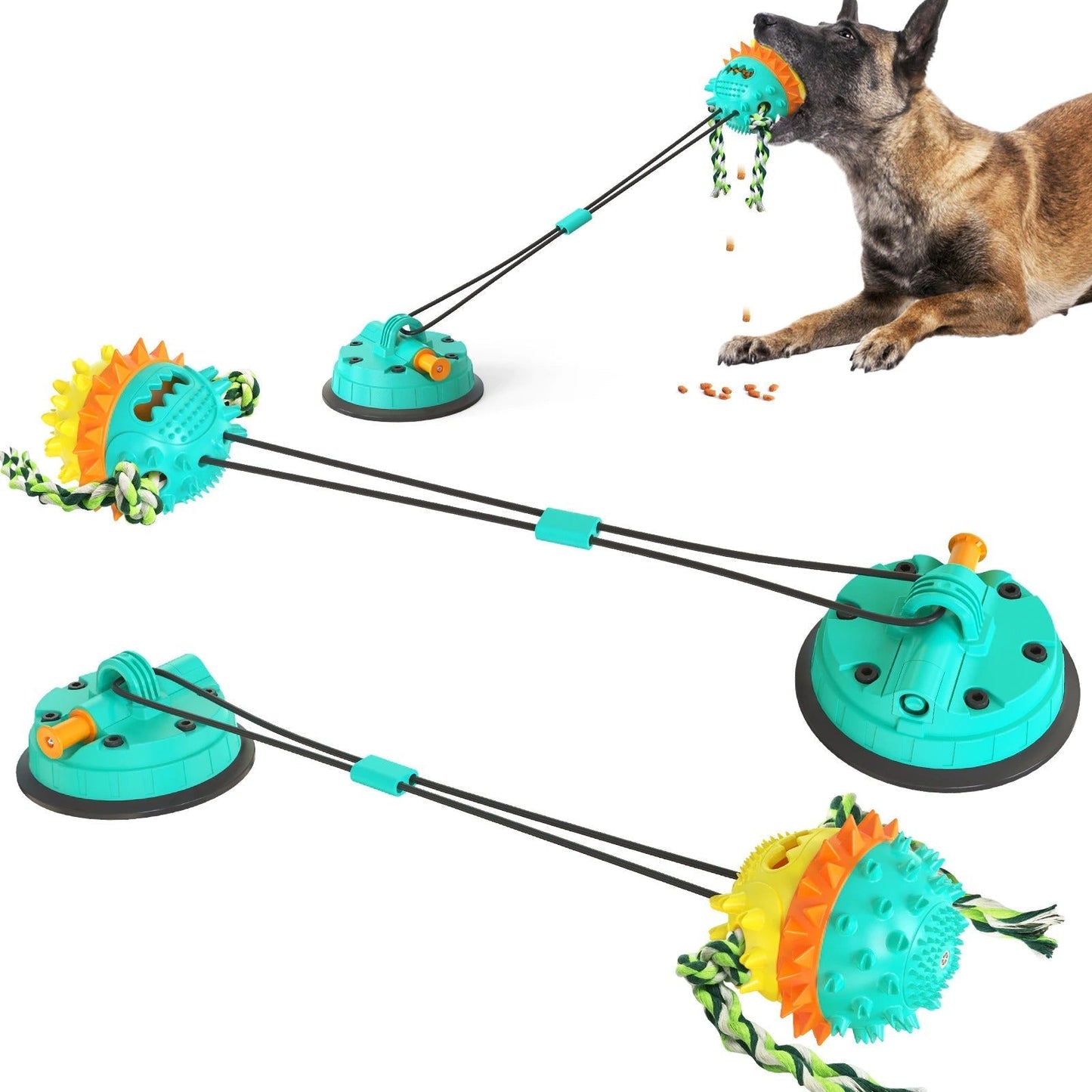 Fun Pet Toy with Treat Dispenser and Rolling Balls - Glamry