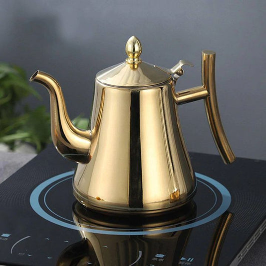 Fast Boil Stainless Electric Induction Kettle with Filter - Glamry