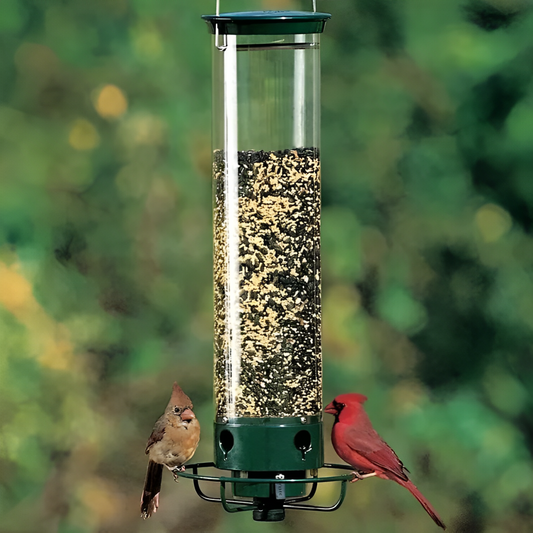 Heavy Duty Squirrel Resistant Bird Feeder - Glamry