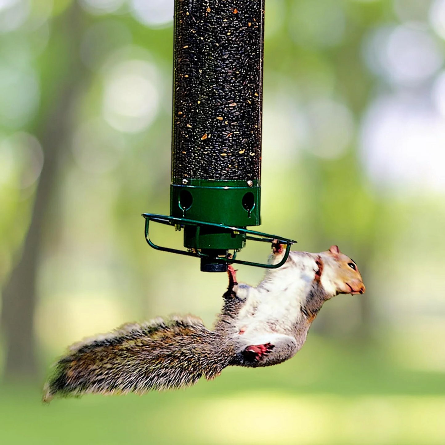 Durable Squirrel Resistant Metal Bird House - Glamry