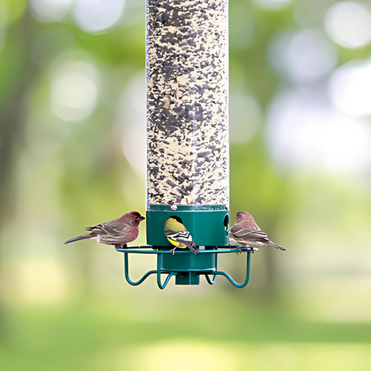 Weatherproof Hanging Bird Seed Feeder Outdoor - Glamry