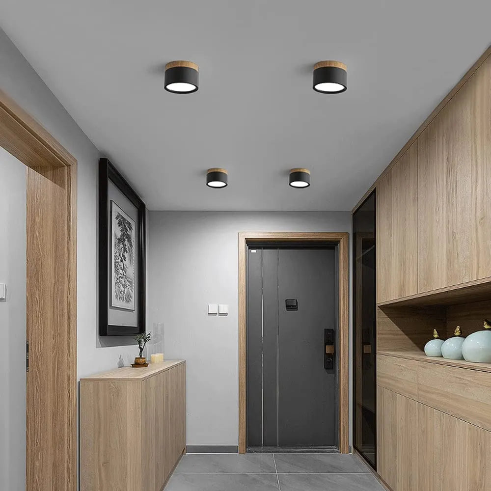 Simple Modern LED Ceiling Lamp - Glamry