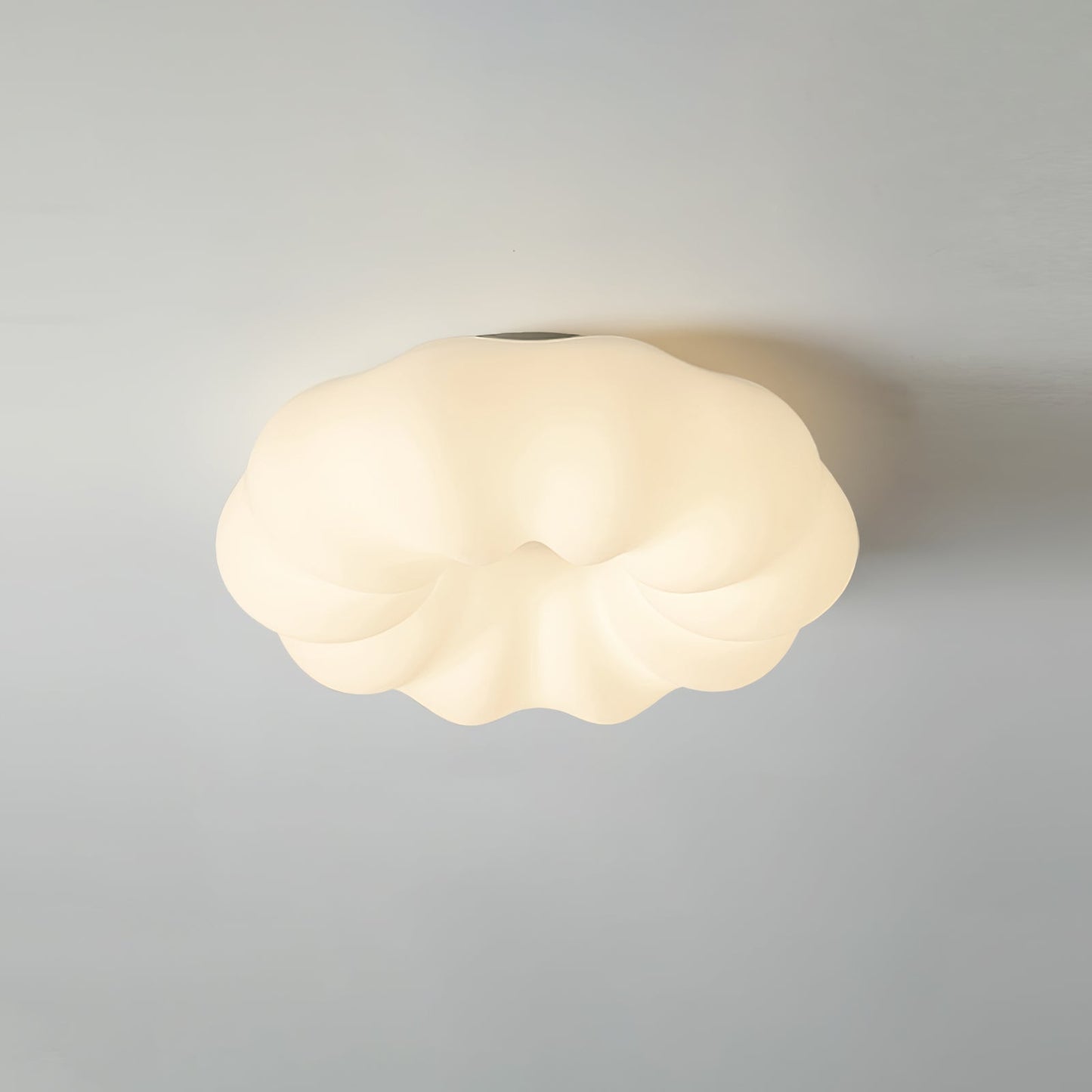 Elegant Asian Style Ceiling Light