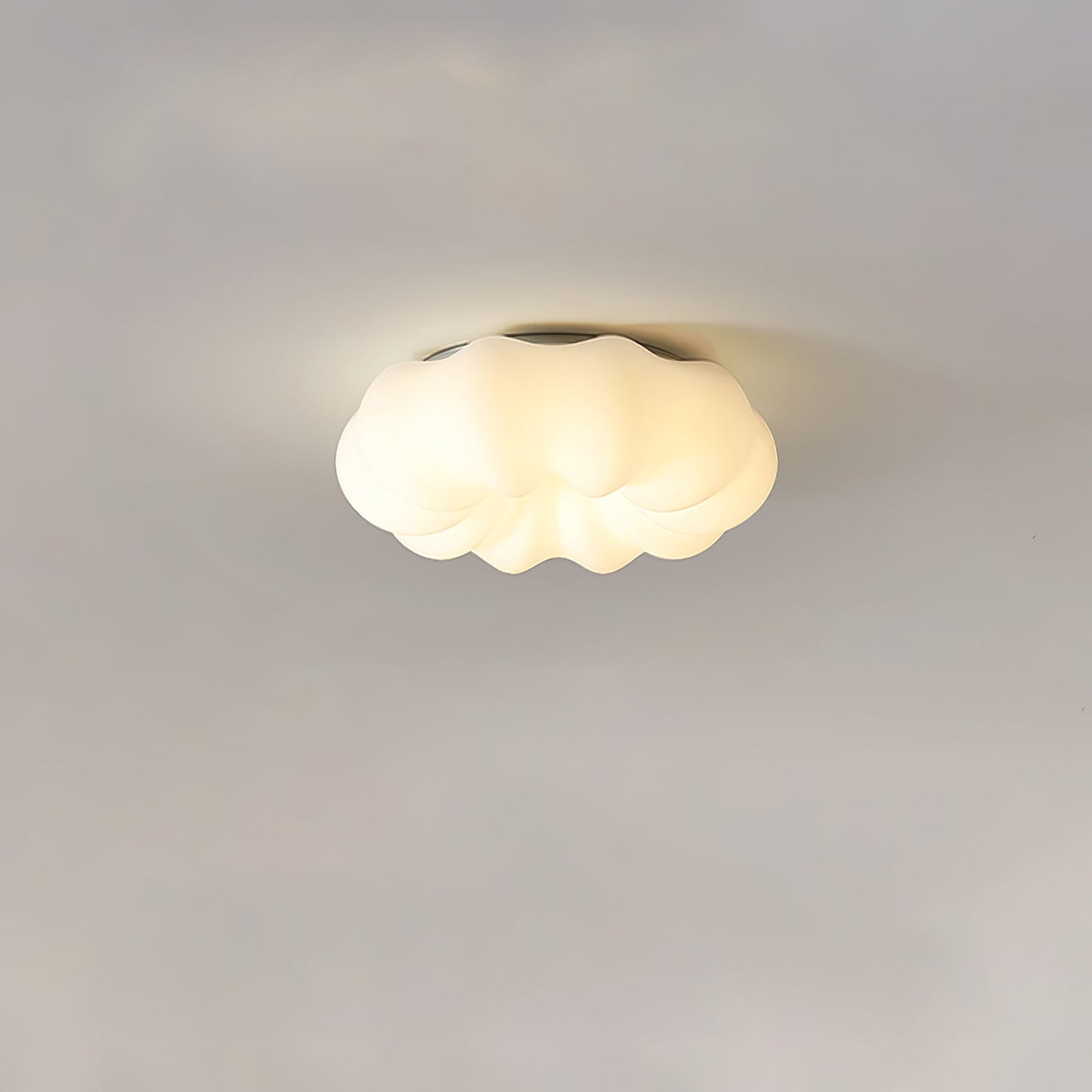 Elegant Asian Style Ceiling Light