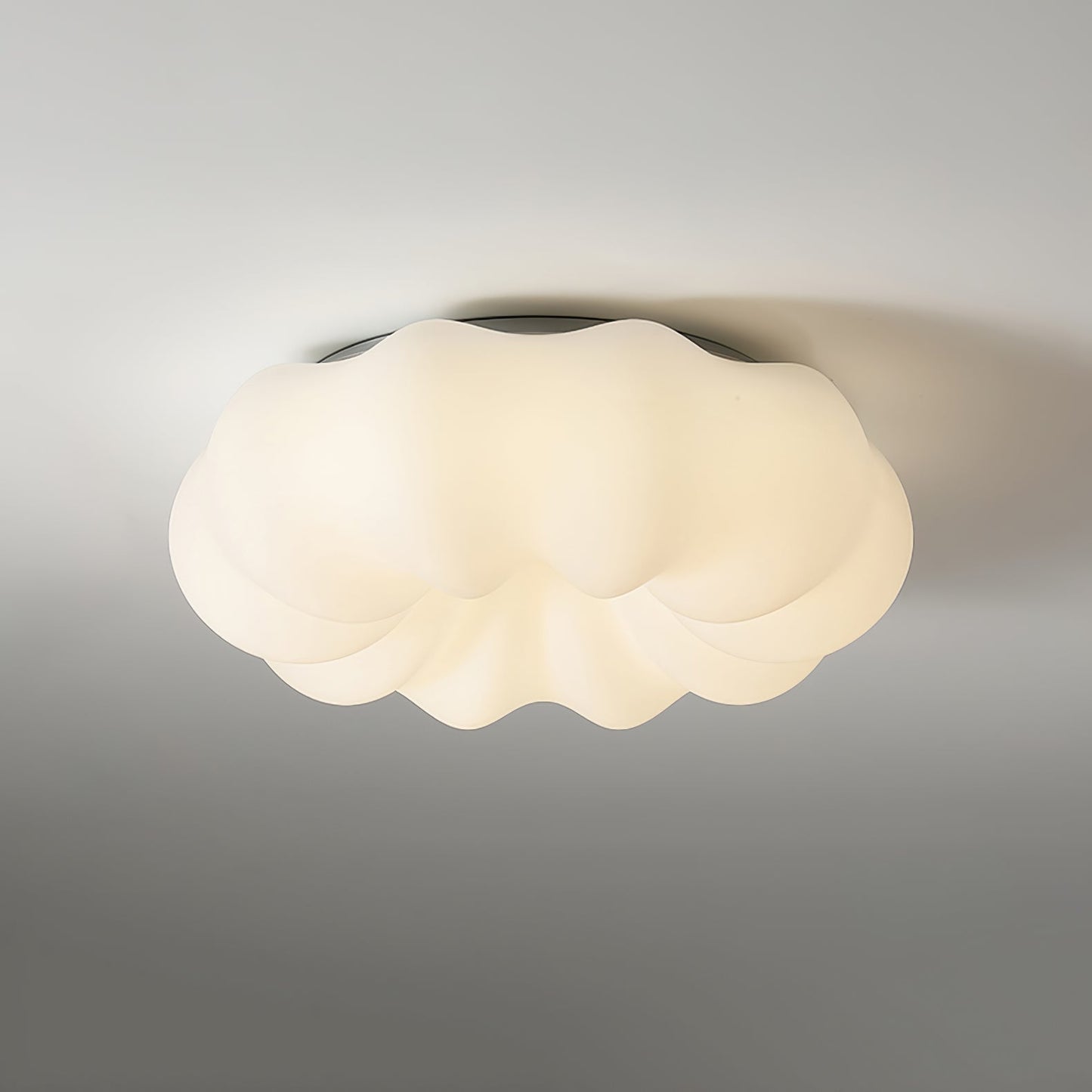 Elegant Asian Style Ceiling Light