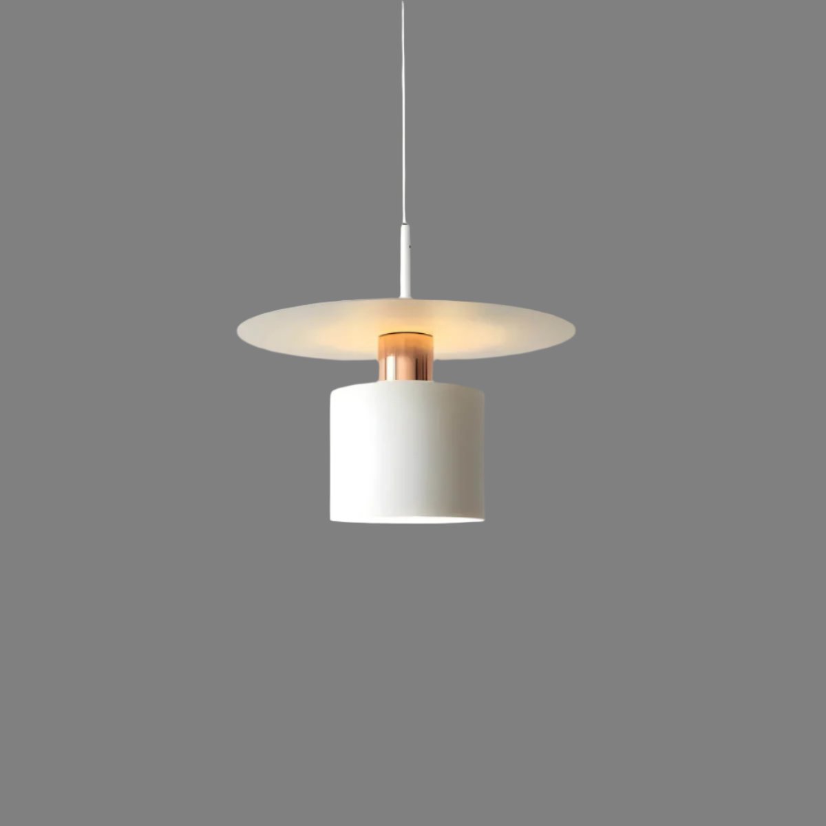 Modern Pendant Ceiling Lamp