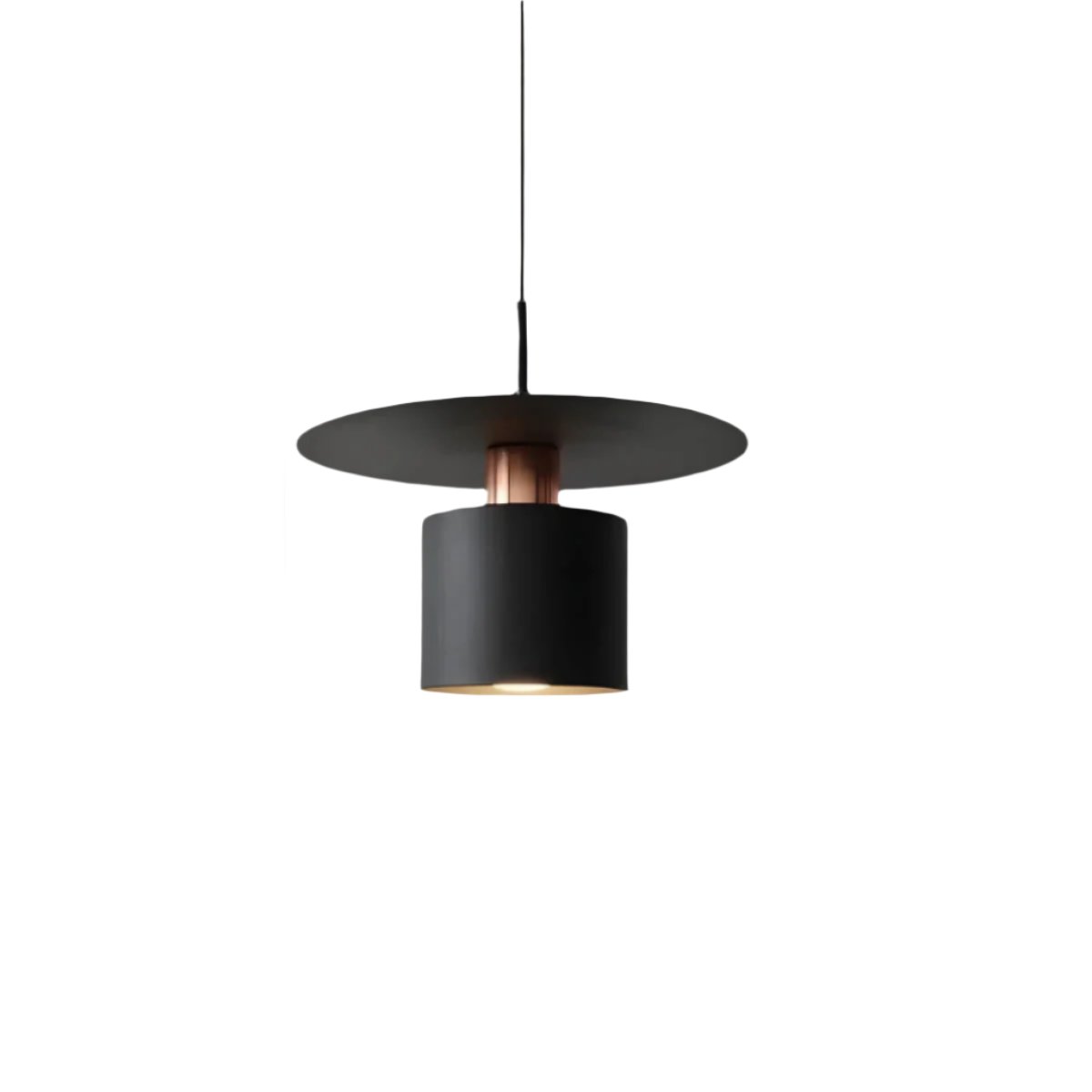 Modern Pendant Ceiling Lamp