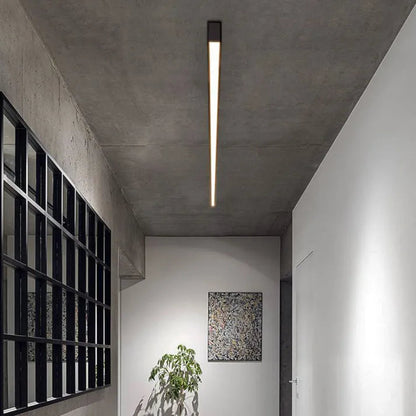 Bright LED Ceiling Light - Slim Dimmable Home Fixture