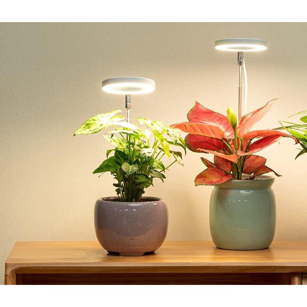 Bright Full Spectrum LED Grow Lamp for Indoor Plants - Glamry
