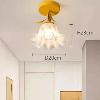 Beautiful Bright Ceiling Light