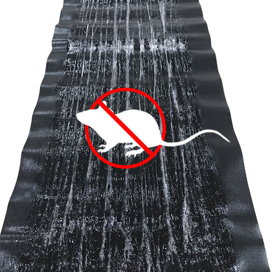 Humane Mouse Trap | Safe Non Toxic Adhesive Rodent Catcher - Glamry