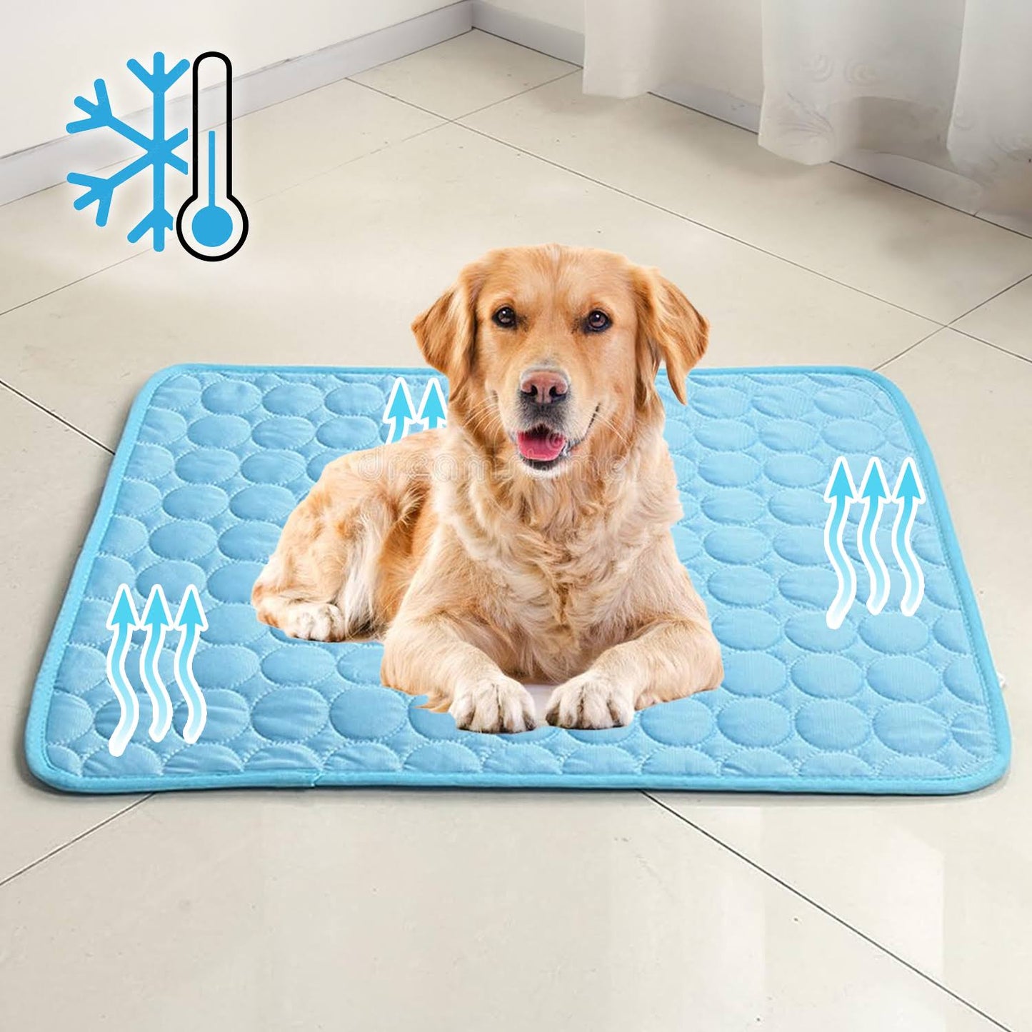 Cool Dog Bed Mat