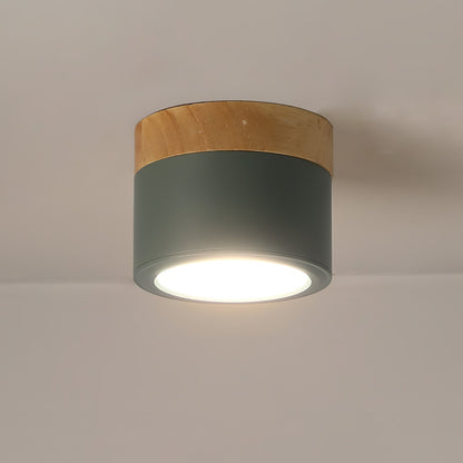 Sleek Modern Ceiling Spotlight with Focused Lighting