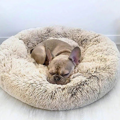 Comfy Pet Orthopedic Big Dog Mattress with Removable Cover - Glamry
