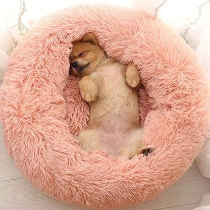 Comfy Pet Orthopedic Big Dog Mattress with Removable Cover