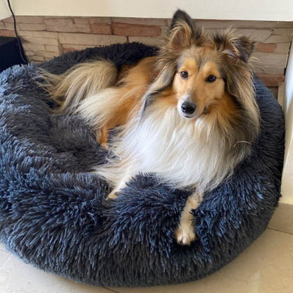Comfy Pet Orthopedic Big Dog Mattress with Removable Cover