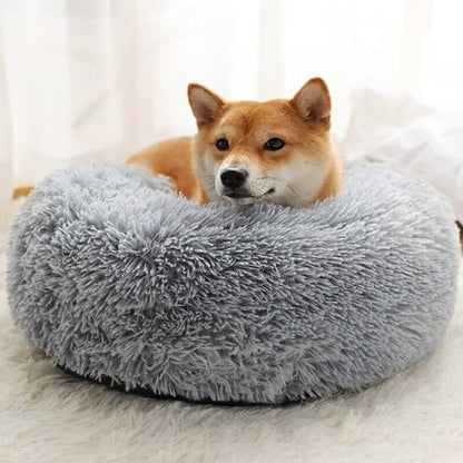 Comfy Pet Orthopedic Big Dog Mattress with Removable Cover