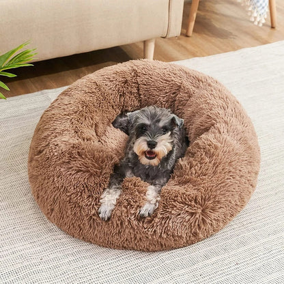 Comfy Pet Orthopedic Big Dog Mattress with Removable Cover