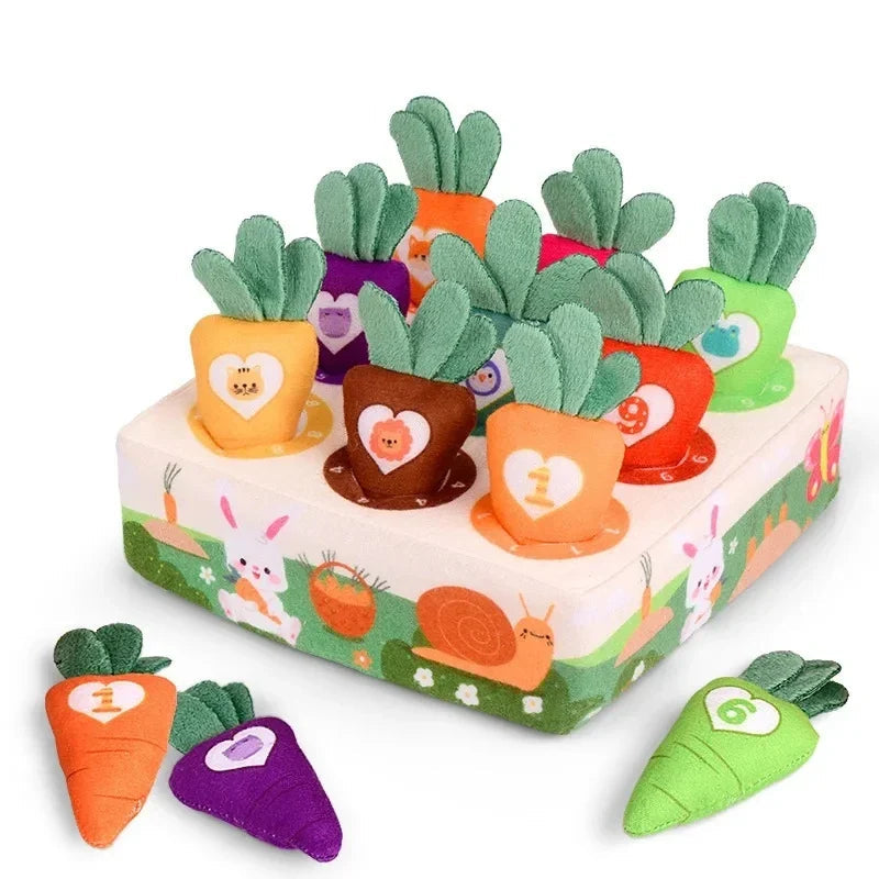 Soft Interactive Baby Sensory Toy for Learning - Glamry