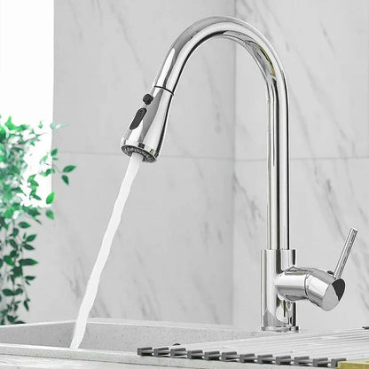 Modern Pull-Down Kitchen Sink Faucet