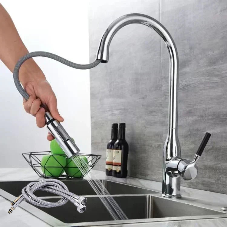 Flexible Kitchen Faucet with Pull Out Spray