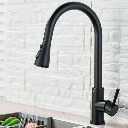 Modern Pull-Down Kitchen Sink Faucet