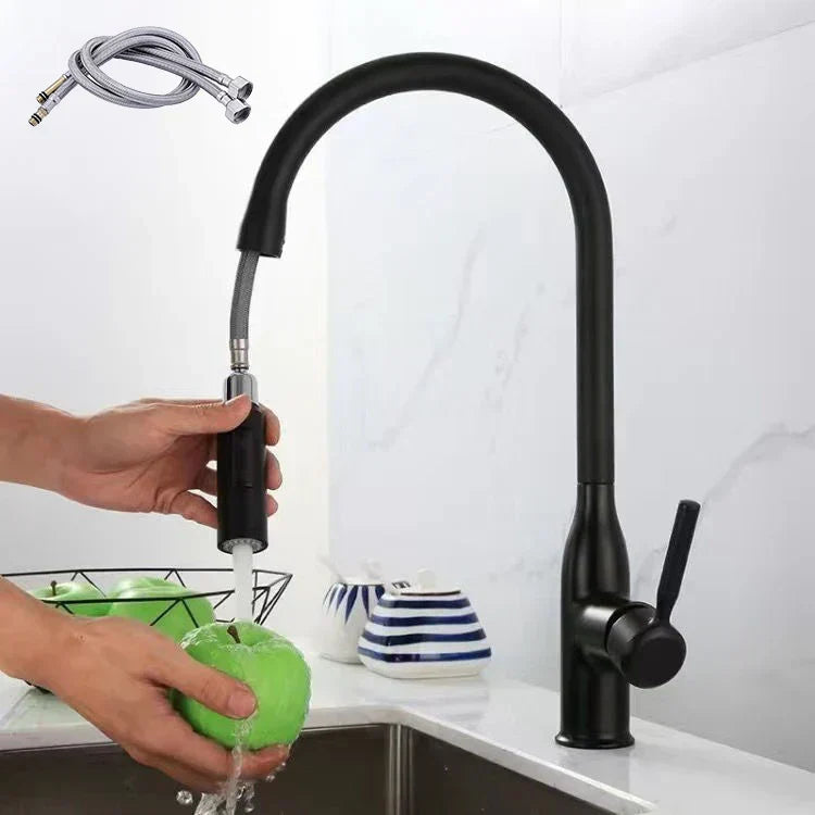 Flexible Kitchen Faucet with Pull Out Spray