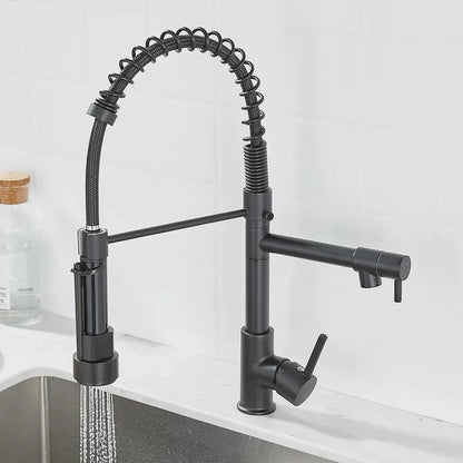 Stylish Double Sink Faucet